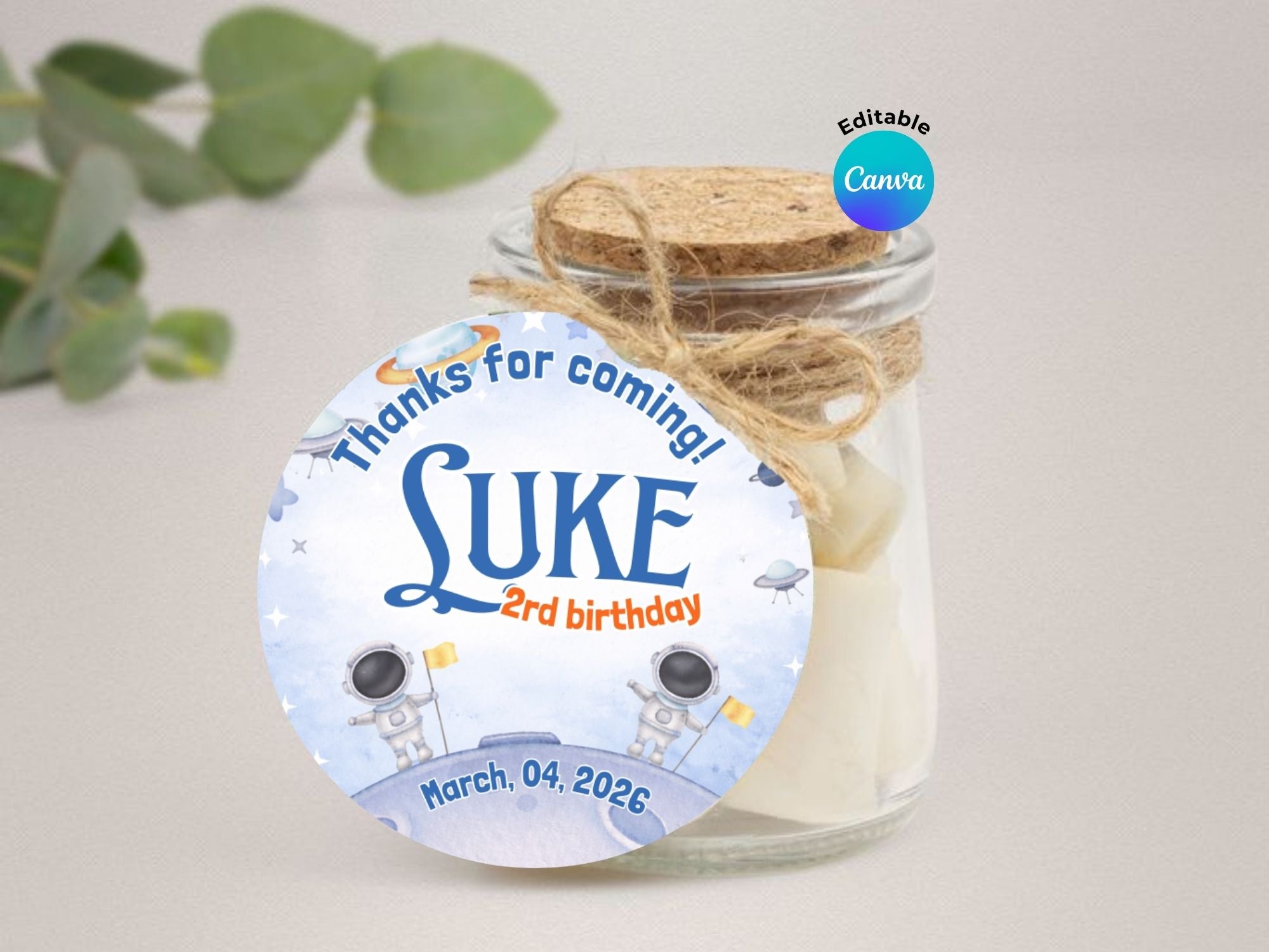 Modern Astronaut Birthday Invitation FULL PARTY BUNDLE - Video Invite & Matching Printables